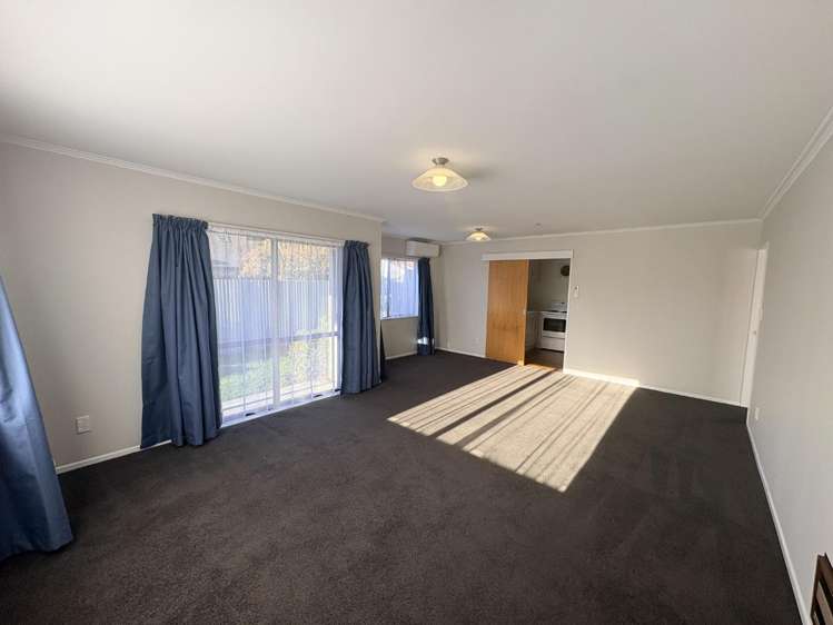 19a Te Aute Road Havelock North_3