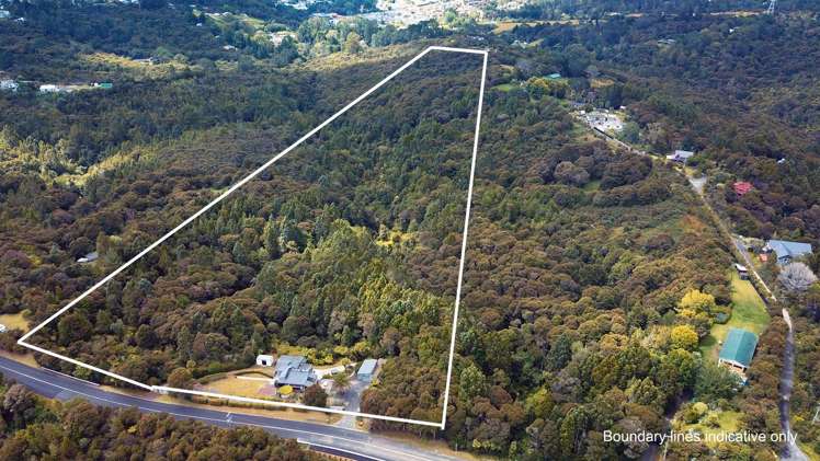 146 Albany Heights Road Albany Heights_19