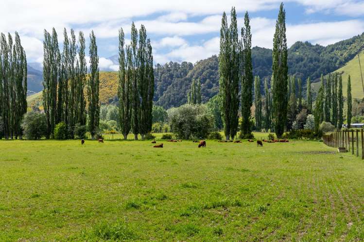 2323 Motueka Valley Highway Ngatimoti_6