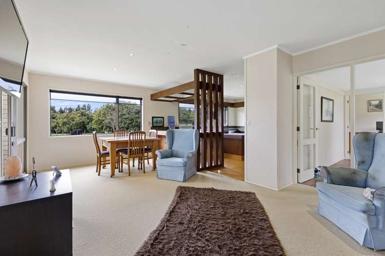 Old Highway Whakamarama_6