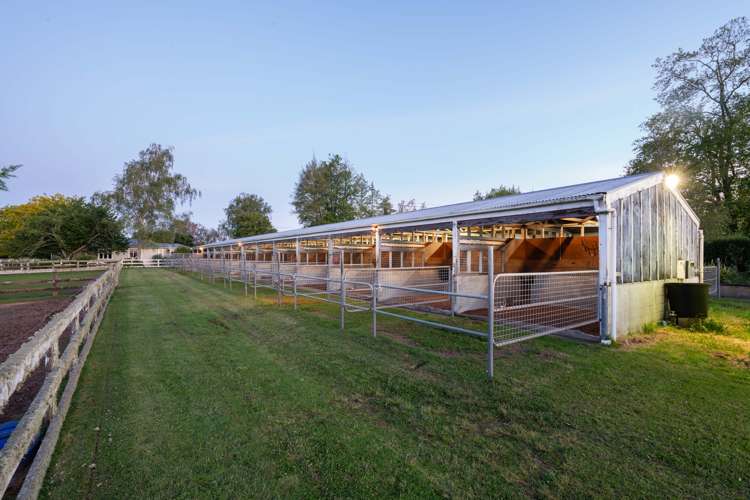 91 Forrest Road Cambridge_0