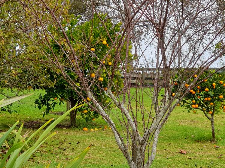 91 Jumna Road Maungaturoto_18