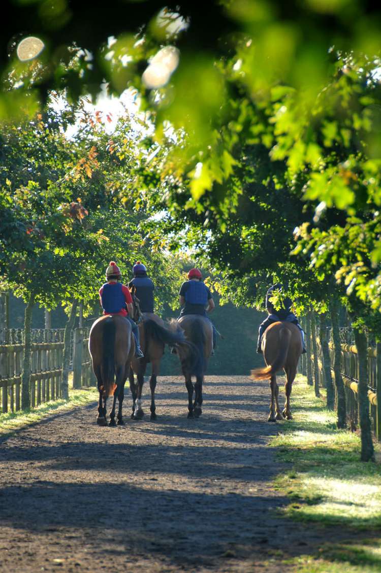 7567 State Highway 27 Matamata_19