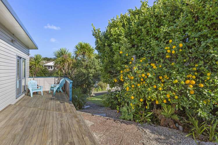 4a Violet Street Raglan_5