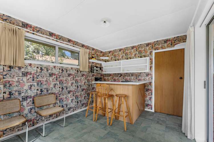 102 Centennial Avenue Thames_17