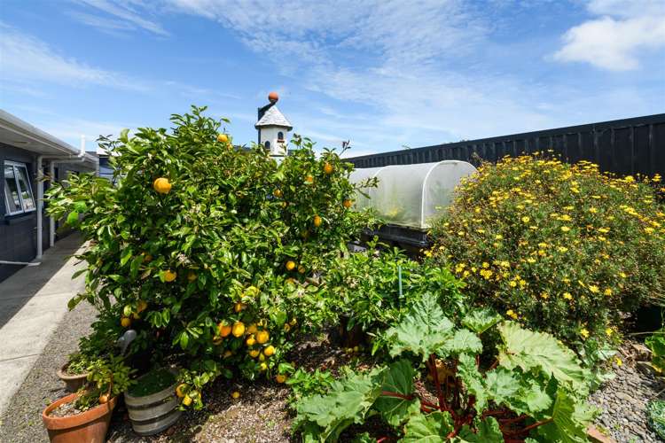 17 Barnett Drive Marton_17