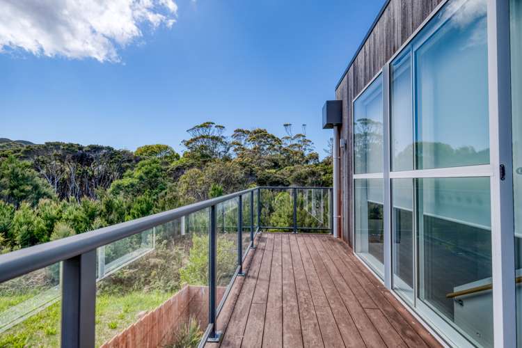 25 Banyan Road Karikari Peninsula_29