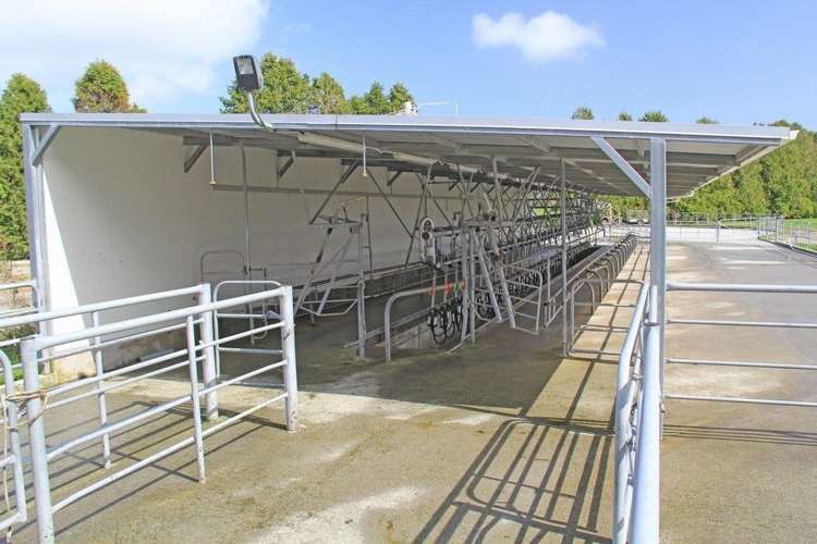 Waiho Flat Road Franz Josef Glacier_9
