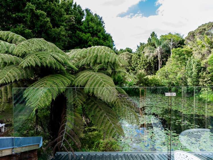 43A Edkins Road Kerikeri_11