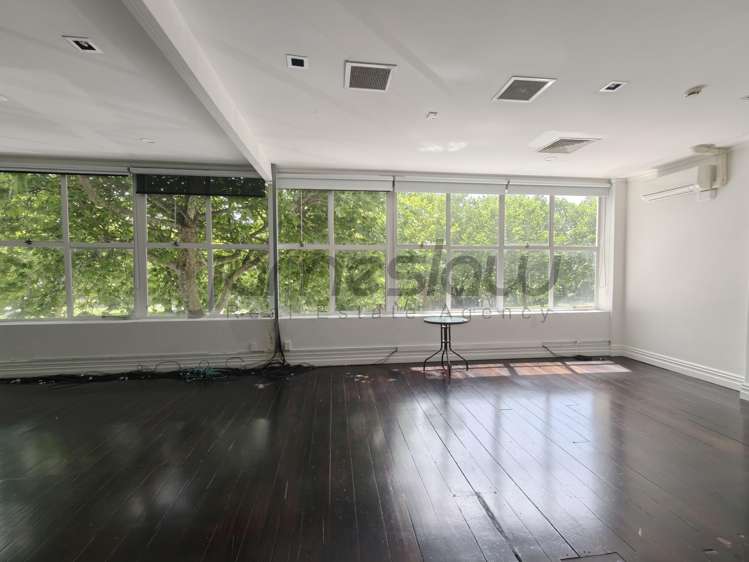 54 Ponsonby Road Grey Lynn_0