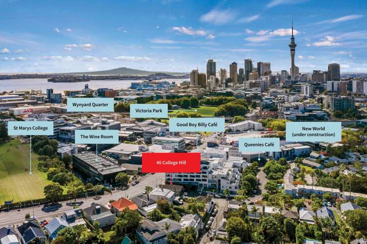 40 College Hill Freemans Bay_15