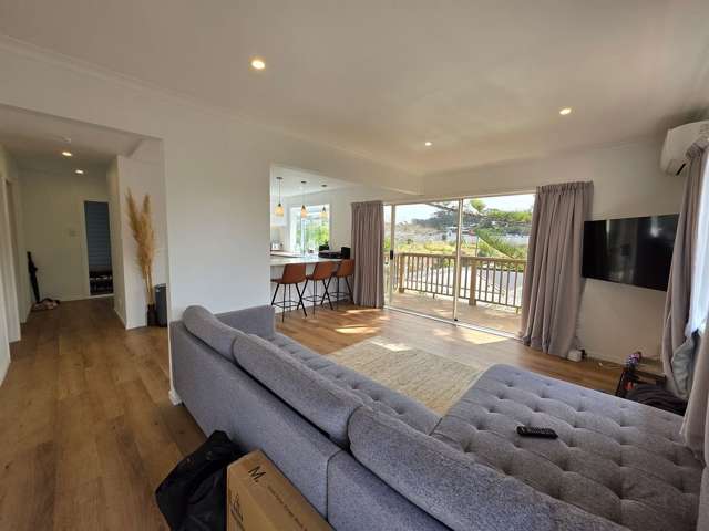 2A Holiday Road Stanmore Bay_3