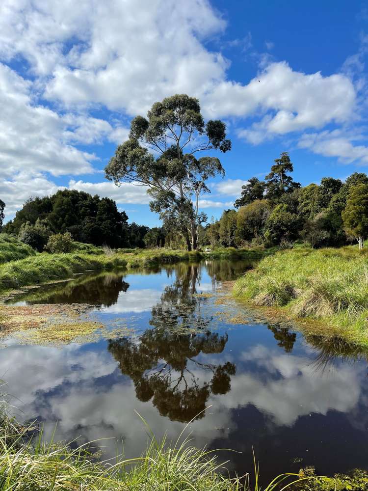 652A Te Whiti Road Te Whiti_25