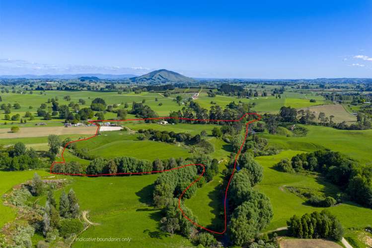 810 Pirongia Road Pirongia_20