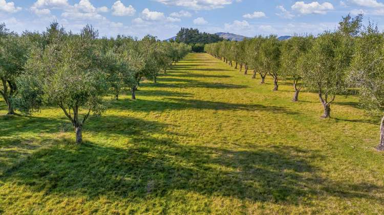 327 Georges Road Amberley_23