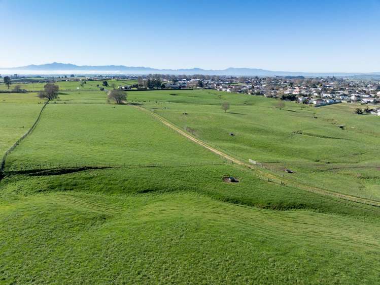 Morrinsville-Tahuna Road Morrinsville_6