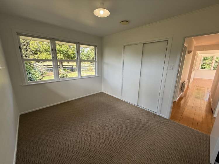 98 Tender Road Dairy Flat_19