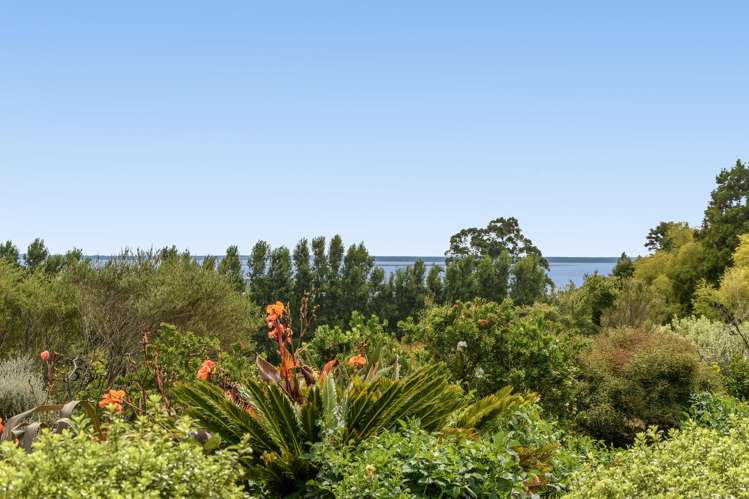 101 Turntable Hill Road Whakamarama_6