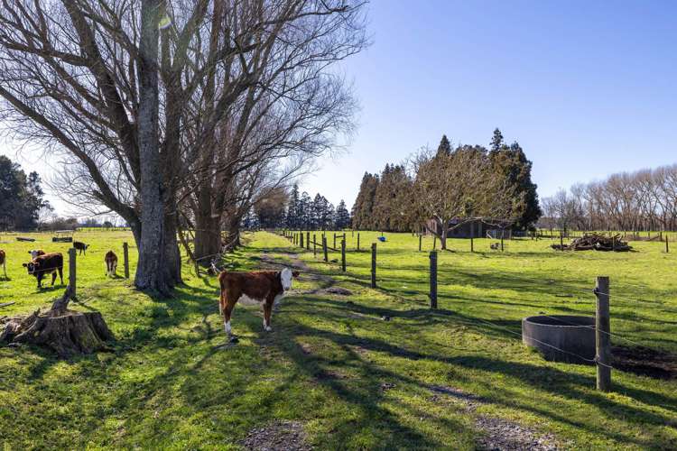 386 Marshmeadow Road Newstead_25