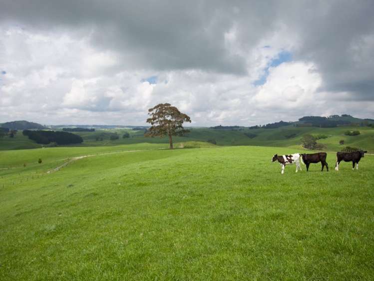 438 Waotu South Road Putaruru_35