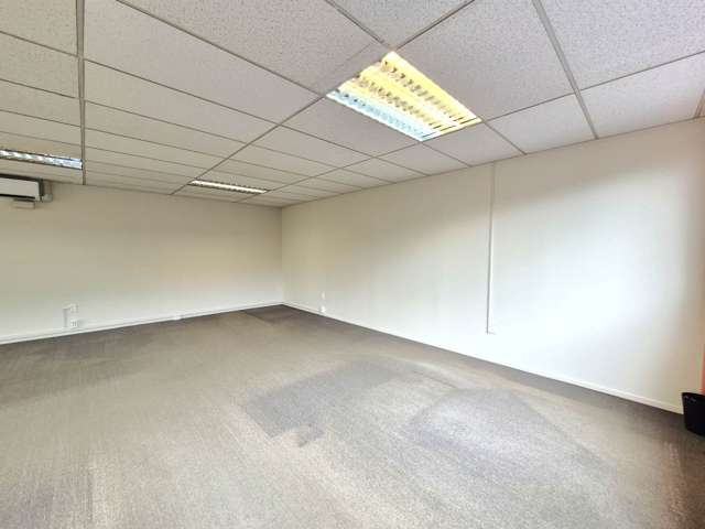 123C Dominion Road Mt Eden_2