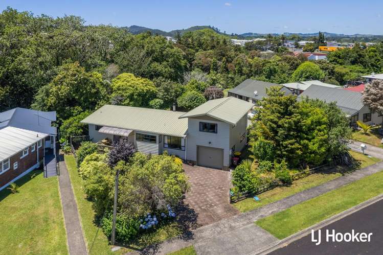 45A Martin Road_5