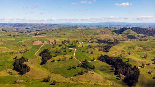 120 Pamotumotu Road Maihiihi_3