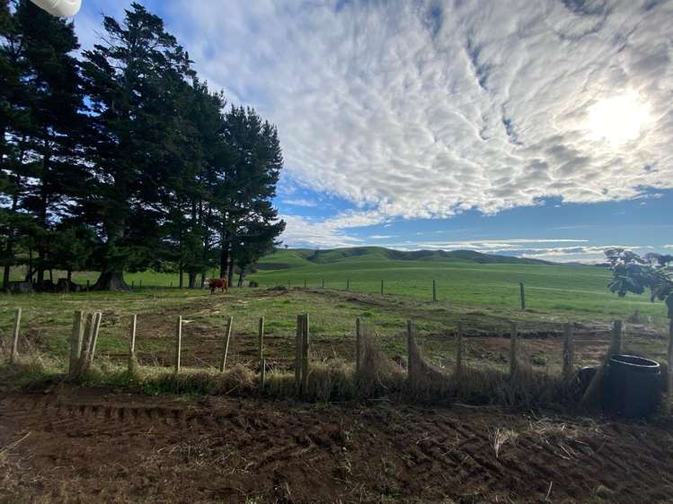536 Ngahape Road 11385_6