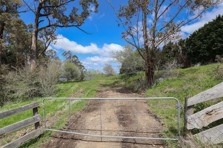 Glen Murray Road Rangiriri_34