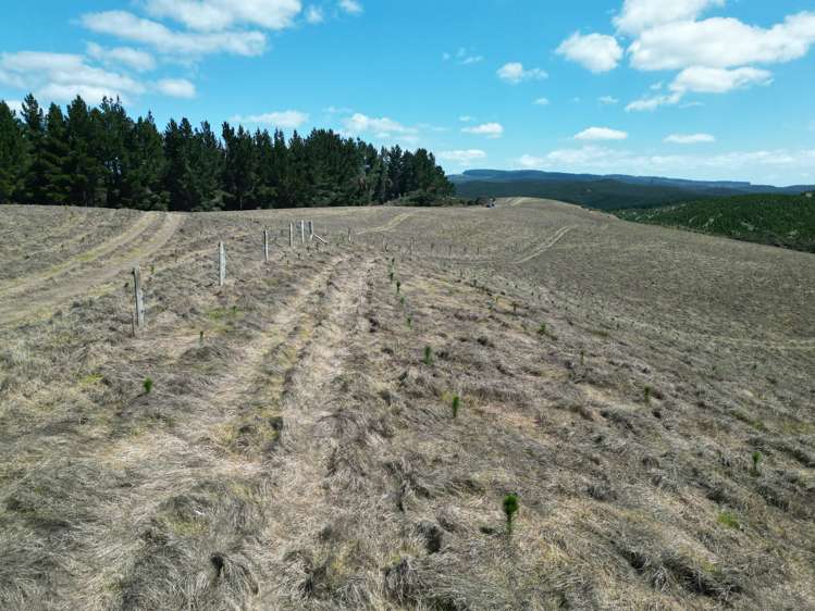 Toko Mouth Road Toko Mouth_12