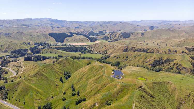 14781 Route 52 Eketahuna_1