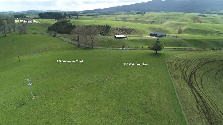 228 Waimanu Road Pukeatua_1