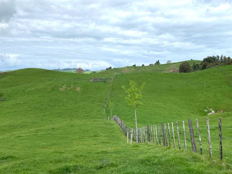 23 Mairoa Road Piopio_10