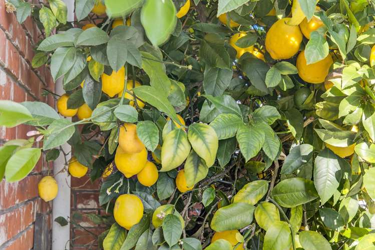 300 Kensington Avenue_3