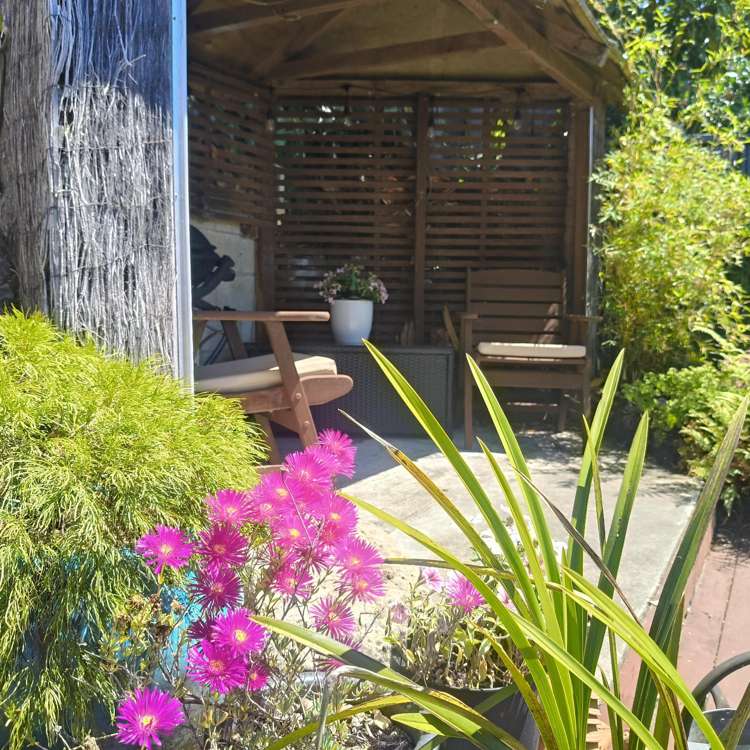 46A Durham Drive Havelock North_13