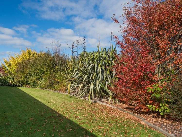 1111 Tutukau Road Reporoa and Surrounds_13