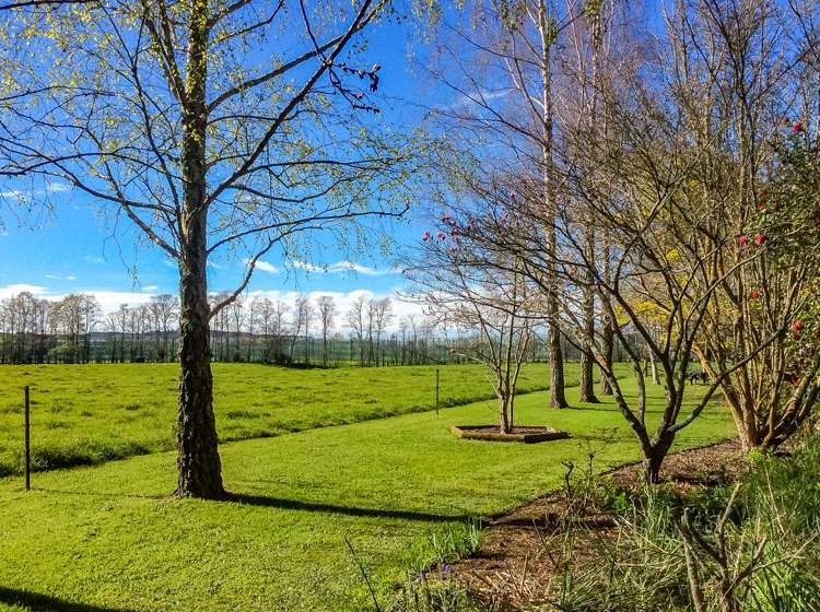 242 Higgins Road Wakefield_15