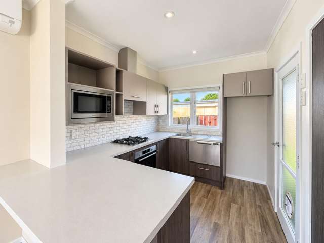 60A Galloway Street Hamilton East_1