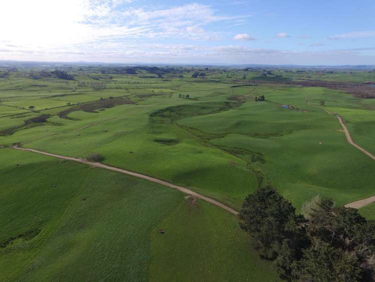 310 Ginn Road Huntly_13