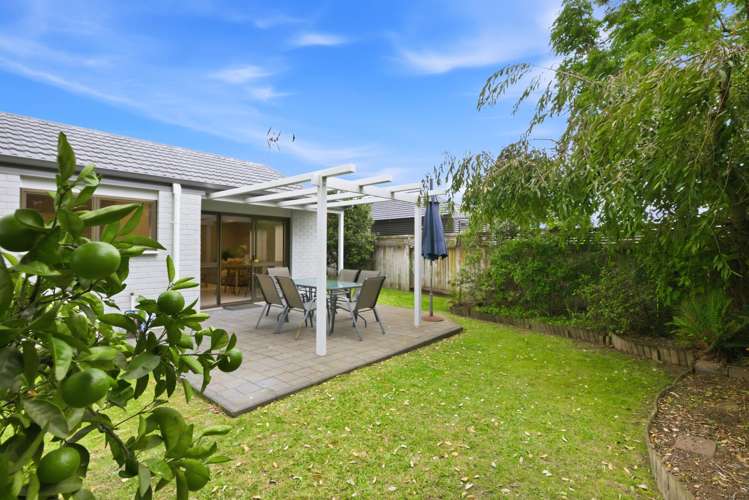 97B Gloucester Road Mount Maunganui_9