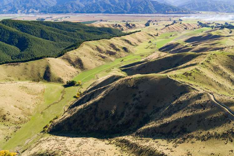 3459 State Highway 63 Wairau Valley_9