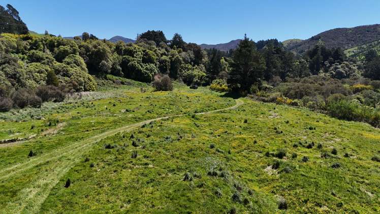 2096 State Highway 2 Kiriwhakapapa_10