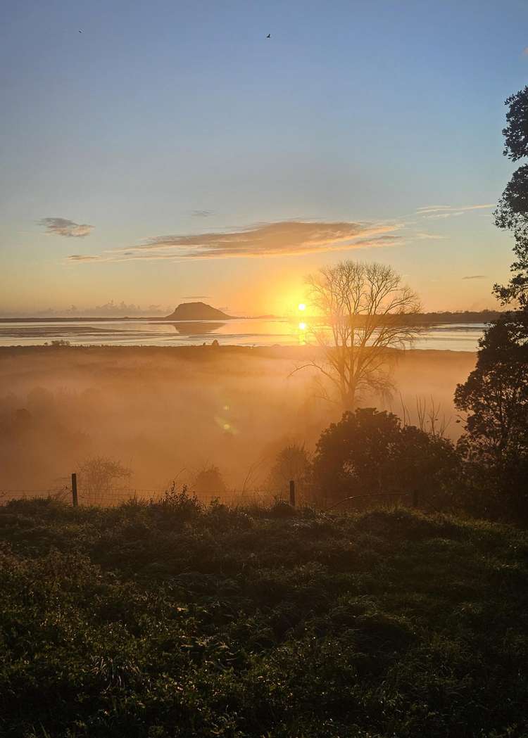 2A Oikimoke Road Te Puna_21