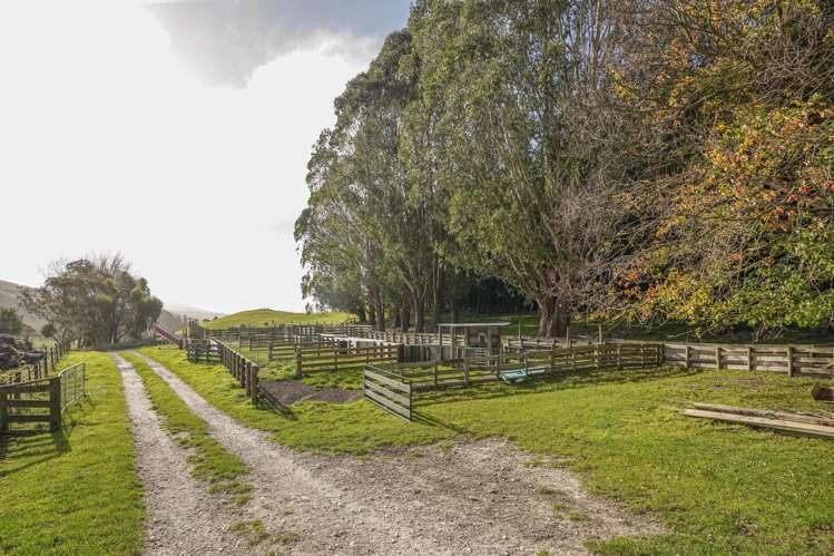 782 Glendhu Road Greta Valley_10