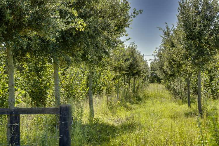 1778 Pakowhai Road Pakowhai_13