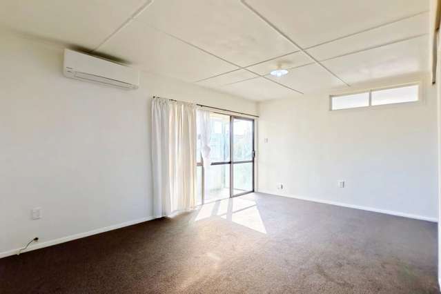 2/33 Puriri Terrace Roslyn_3