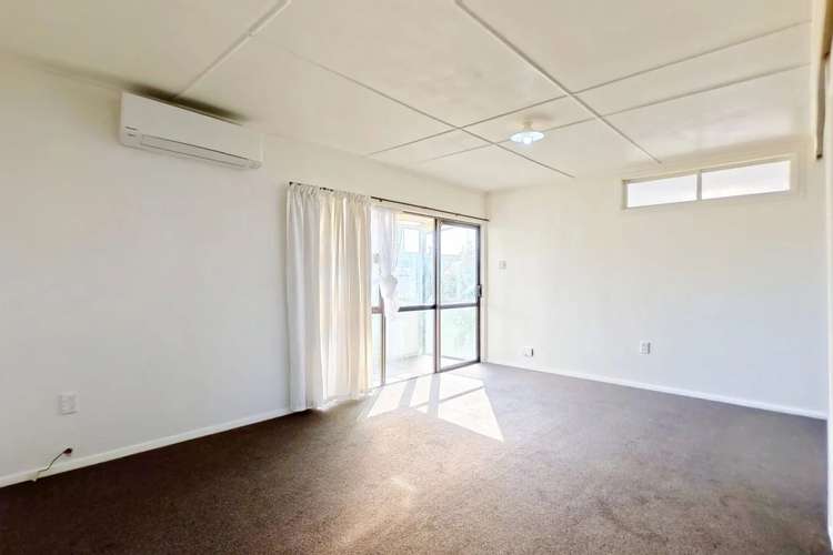 2/33 Puriri Terrace Roslyn_3