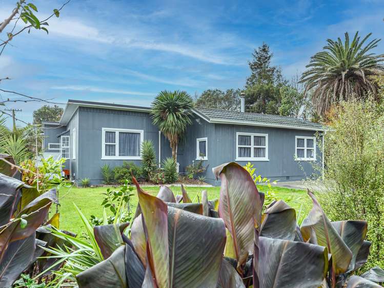 67 Macarthur Street Levin_10