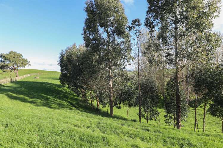 91 Churchill Road Rangiriri_35