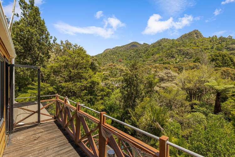 55 Whatipu Road Huia_5